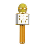 Rechargeable Wireless Bluetooth Karaoke Microphone for Everyday Listening and Travel