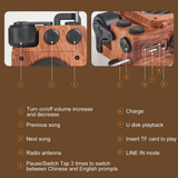 Compact Bluetooth Speaker with FM and AUX Support