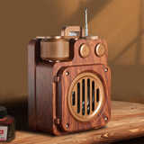 Compact Bluetooth Speaker with FM and AUX Support