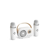 Portable Bluetooth Karaoke Speaker with Wireless Microphone